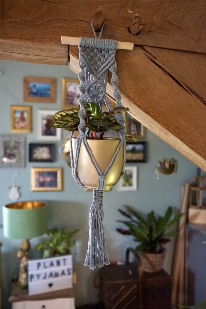 Plant Pyjamas muurhanger