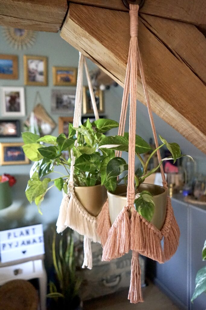 Fluffy Plant Pyjamas